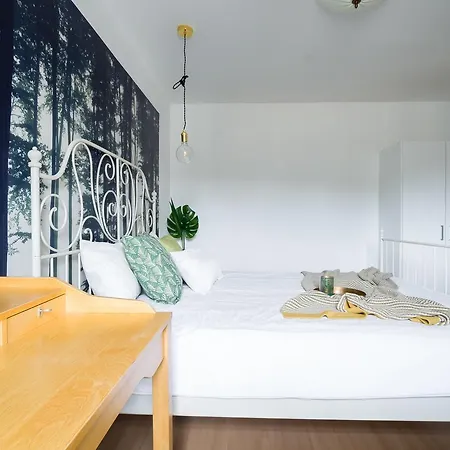 Sopockie Pokoje Green Homestay
